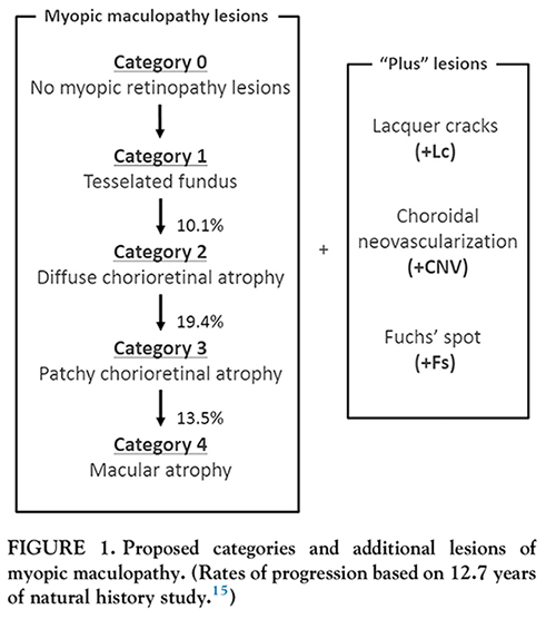 近視性黄斑症の国際分類